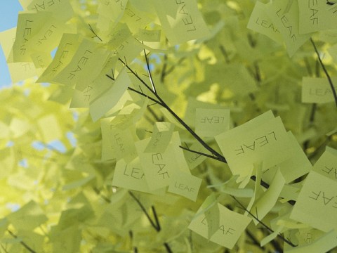 CC-BY-NC-ND Peter Guthrie