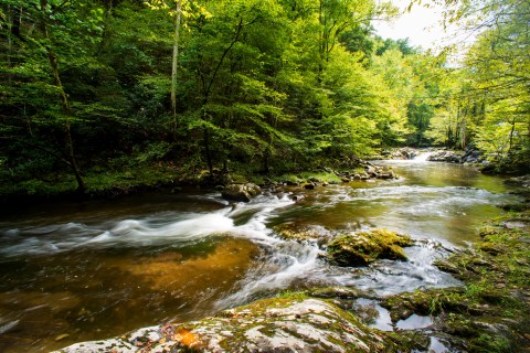 stocksnap_ll817bl9cs